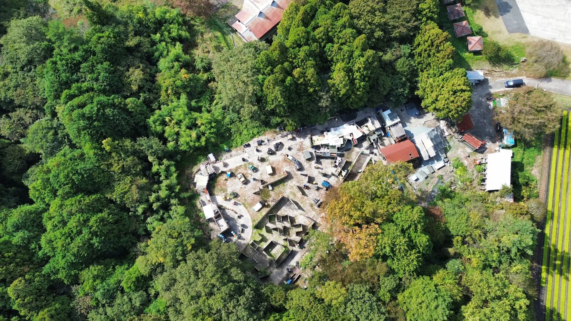 Survival Field